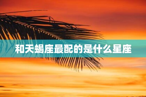 和天蝎座最配的是什么星座