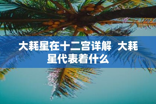 大耗星在十二宫详解  大耗星代表着什么