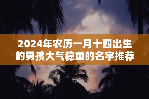 2025年农历一月十四出生的男孩大气稳重的名字推荐