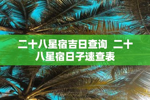 二十八星宿吉日查询  二十八星宿日子速查表