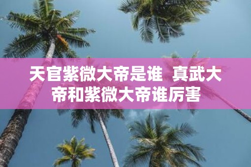 天官紫微大帝是谁  真武大帝和紫微大帝谁厉害