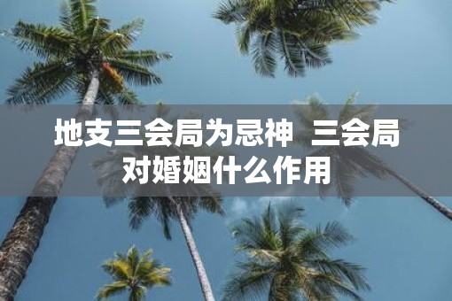 地支三会局为忌神  三会局对婚姻什么作用