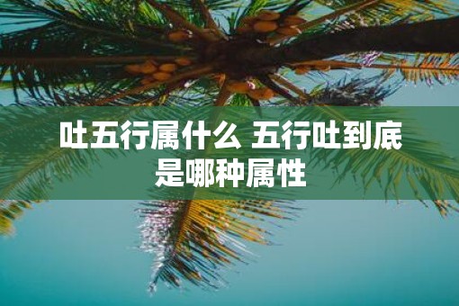 吐五行属什么 五行吐到底是哪种属性