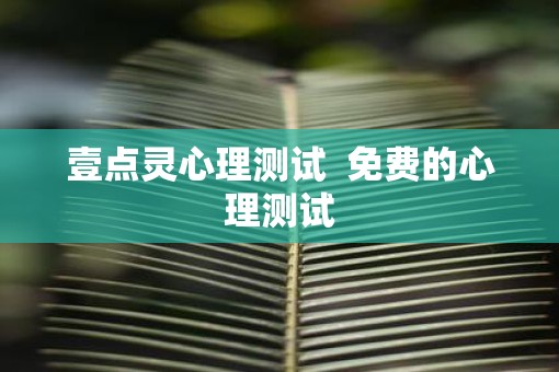 壹点灵心理测试  免费的心理测试