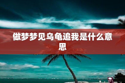 做梦梦见乌龟追我是什么意思