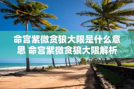命宫紫微贪狼大限是什么意思 命宫紫微贪狼大限解析