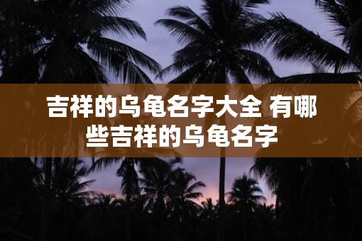 吉祥的乌龟名字大全 有哪些吉祥的乌龟名字