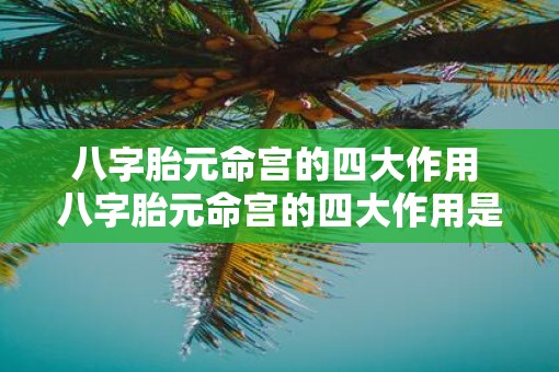 八字胎元命宫的四大作用 八字胎元命宫的四大作用是什么