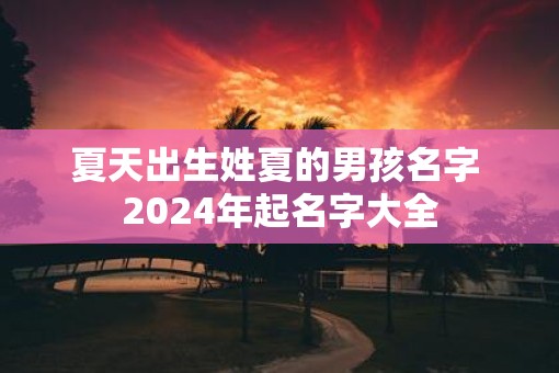 夏天出生姓夏的男孩名字 2025年起名字大全