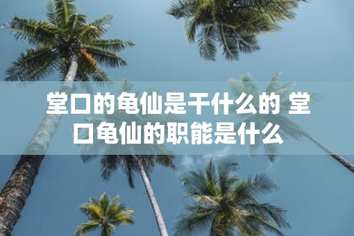堂口的龟仙是干什么的 堂口龟仙的职能是什么