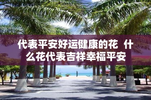 代表平安好运健康的花  什么花代表吉祥幸福平安
