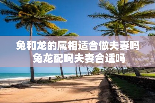 兔和龙的属相适合做夫妻吗 兔龙配吗夫妻合适吗