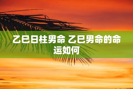 乙巳日柱男命 乙巳男命的命运如何