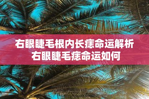 右眼睫毛根内长痣命运解析 右眼睫毛痣命运如何