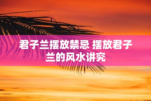 君子兰摆放禁忌 摆放君子兰的风水讲究