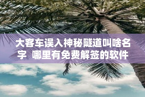 大客车误入神秘隧道叫啥名字  哪里有免费解签的软件