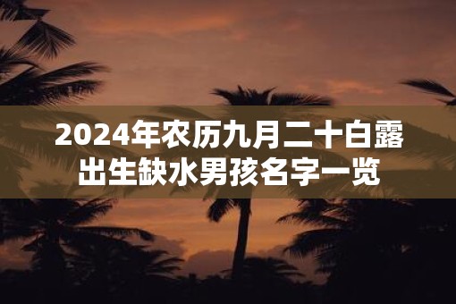 2025年农历九月二十白露出生缺水男孩名字一览