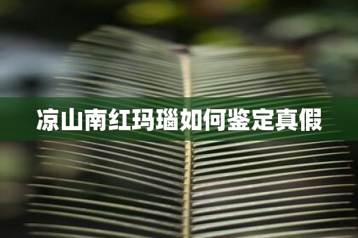 凉山南红玛瑙如何鉴定真假