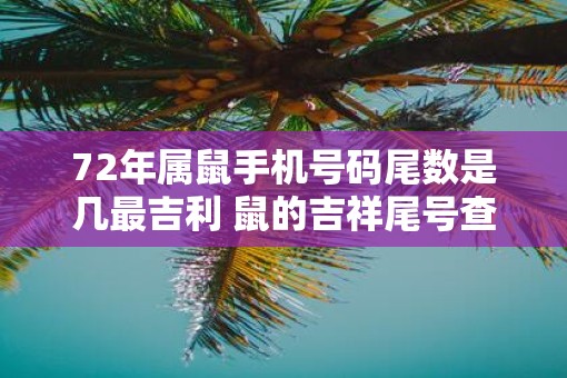 72年属鼠手机号码尾数是几最吉利 鼠的吉祥尾号查询