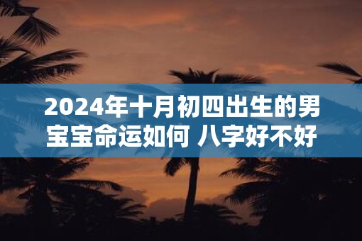 2025年十月初四出生的男宝宝命运如何 八字好不好