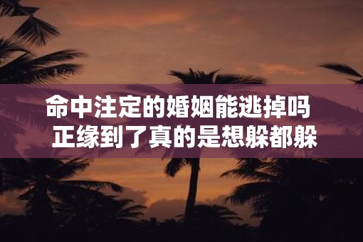 命中注定的婚姻能逃掉吗  正缘到了真的是想躲都躲不了