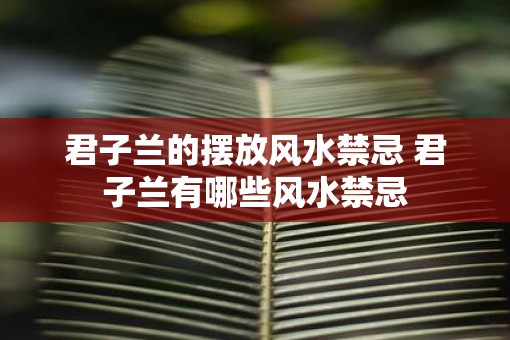 君子兰的摆放风水禁忌 君子兰有哪些风水禁忌