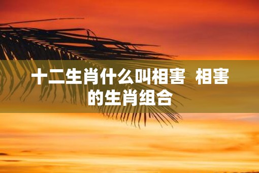 十二生肖什么叫相害 相害的生肖组合 十二生肖什么叫相害 相害的生肖组合