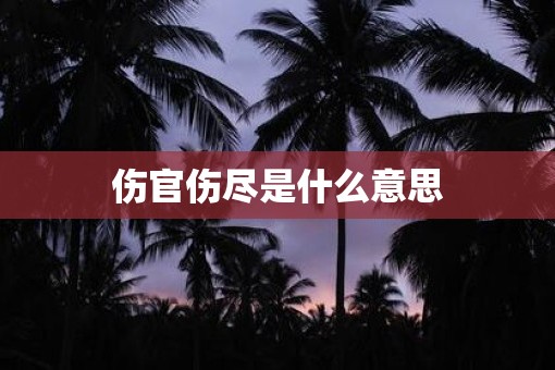 伤官伤尽是什么意思