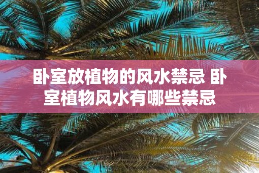 卧室放植物的风水禁忌 卧室植物风水有哪些禁忌