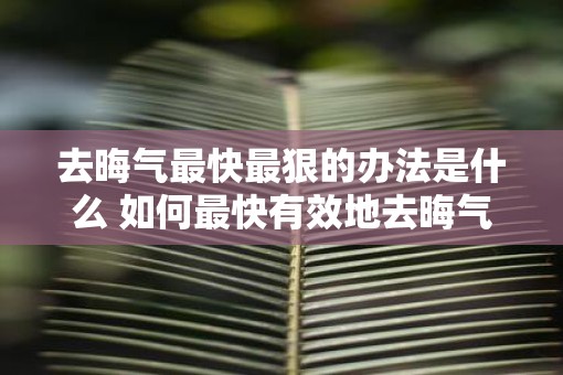 去晦气最快最狠的办法是什么 如何最快有效地去晦气