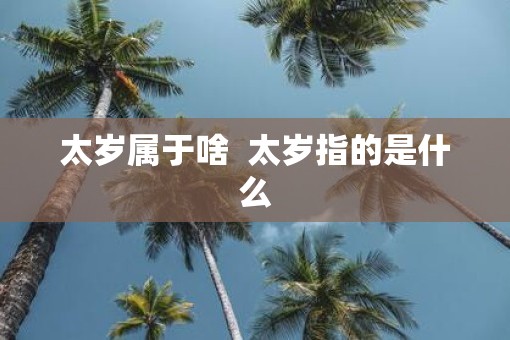 太岁属于啥  太岁指的是什么