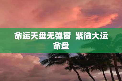 命运天盘无弹窗  紫微大运命盘