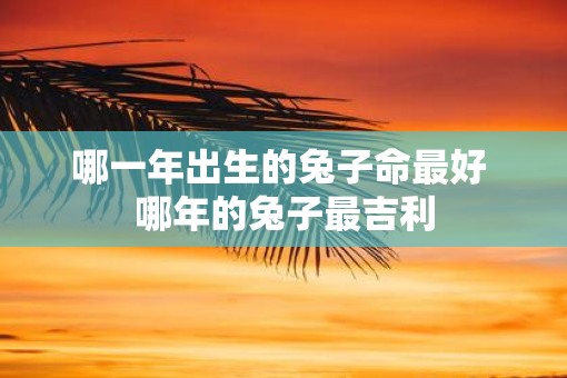 哪一年出生的兔子命最好 哪年的兔子最吉利