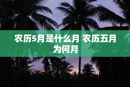 农历5月是什么月 农历五月为何月