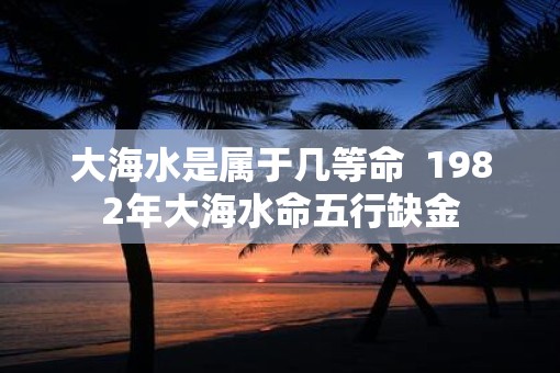 大海水是属于几等命  1982年大海水命五行缺金