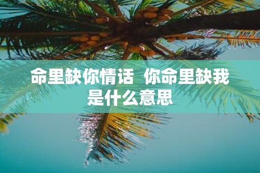 命里缺你情话  你命里缺我是什么意思