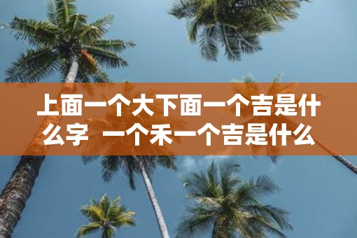 上面一个大下面一个吉是什么字  一个禾一个吉是什么字