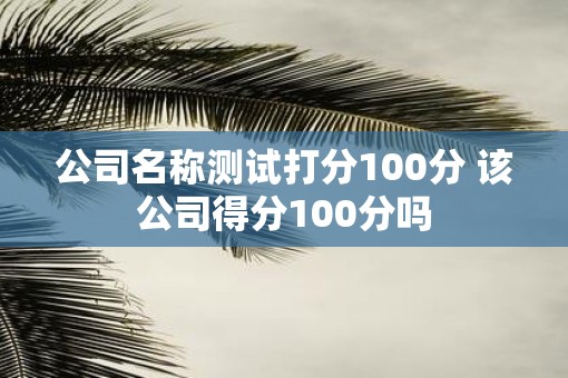 公司名称测试打分100分 该公司得分100分吗