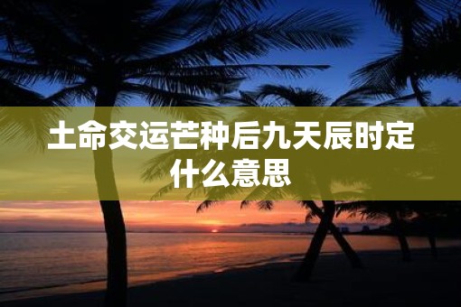 土命交运芒种后九天辰时定什么意思