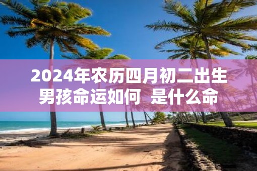 2025年农历四月初二出生男孩命运如何  是什么命
