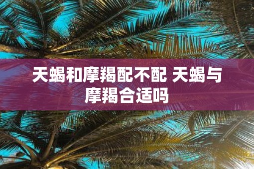 天蝎和摩羯配不配 天蝎与摩羯合适吗