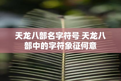 天龙八部名字符号 天龙八部中的字符象征何意