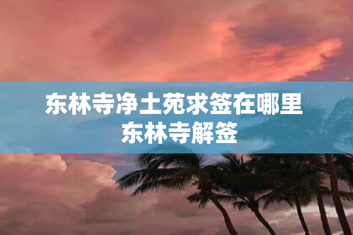 东林寺净土苑求签在哪里  东林寺解签