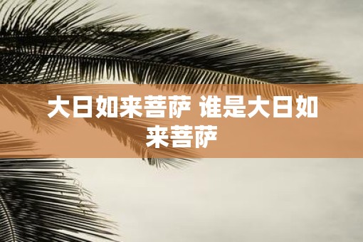大日如来菩萨 谁是大日如来菩萨