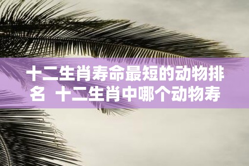 十二生肖寿命最短的动物排名  十二生肖中哪个动物寿命最长