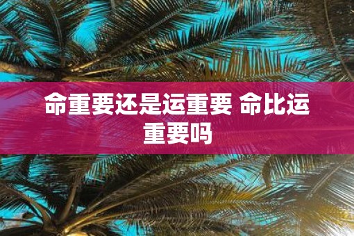 命重要还是运重要 命比运重要吗