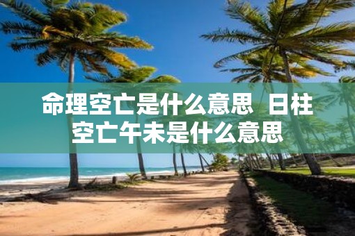 命理空亡是什么意思  日柱空亡午未是什么意思