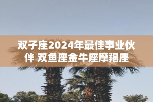 双子座2025年最佳事业伙伴 双鱼座金牛座摩羯座