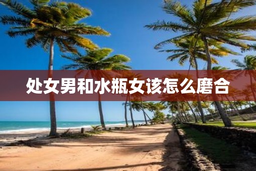 处女男和水瓶女该怎么磨合