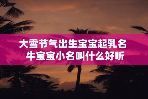 大雪节气出生宝宝起乳名  牛宝宝小名叫什么好听